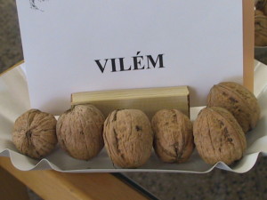 vilem